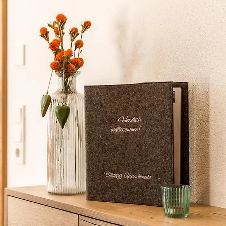 Bildegg Apartman *